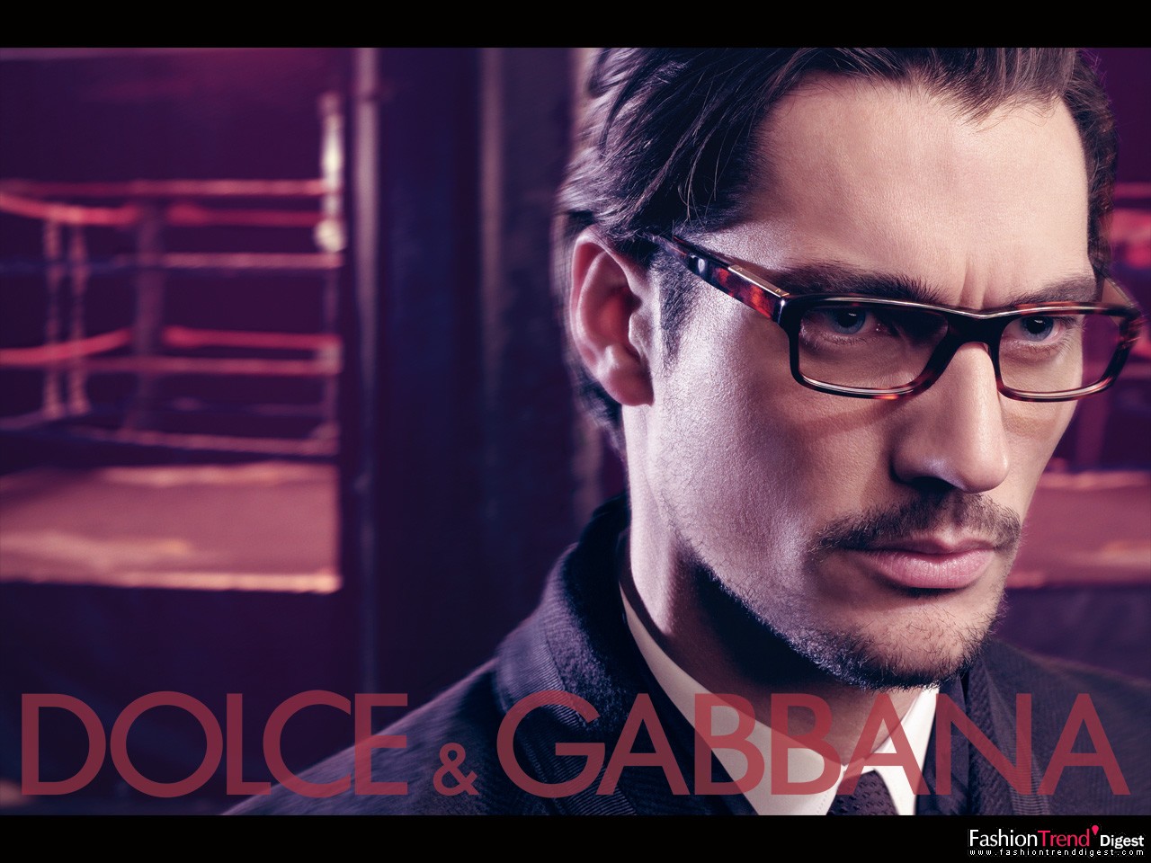 Dolce & Gabbana 2009ﶬVDƬ